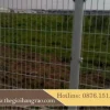 lưới rào gập tam giác 2 đầu 3